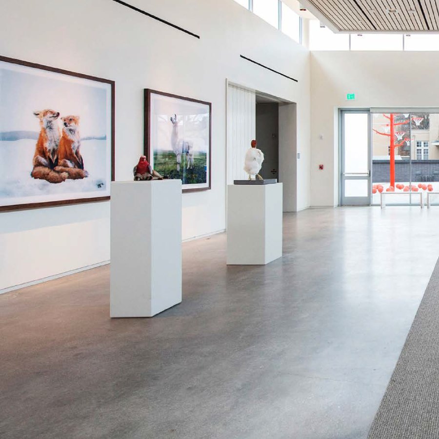 Commercial Microcement Floors